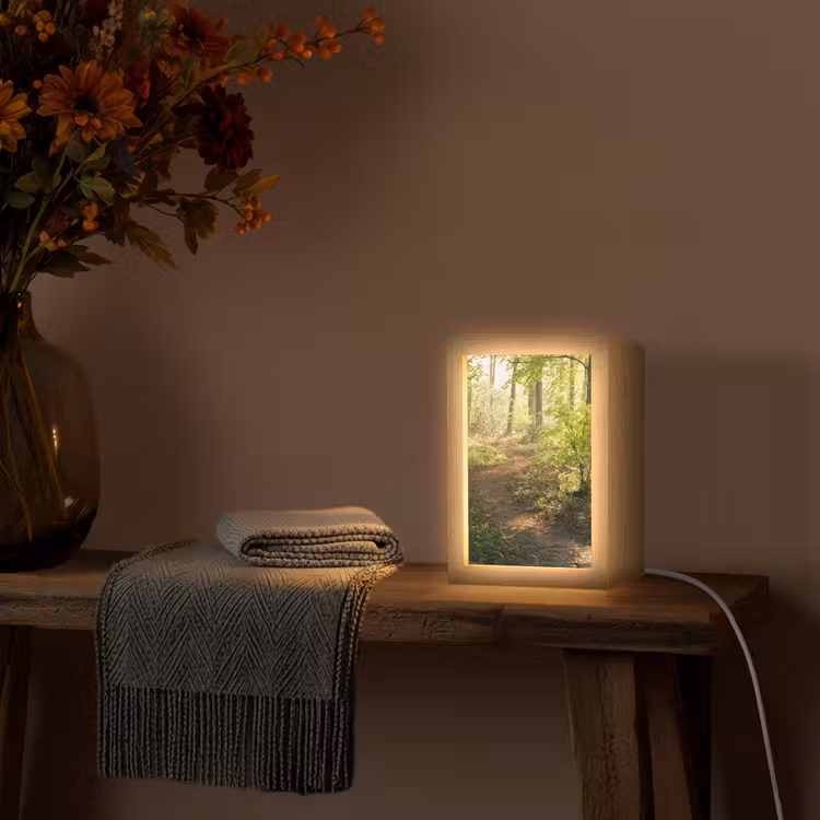 Bos - Bomen - Pad - Zon - Planten - Bladeren - Natuur Light Box met kabel (Tafellamp) klein -sfeer4