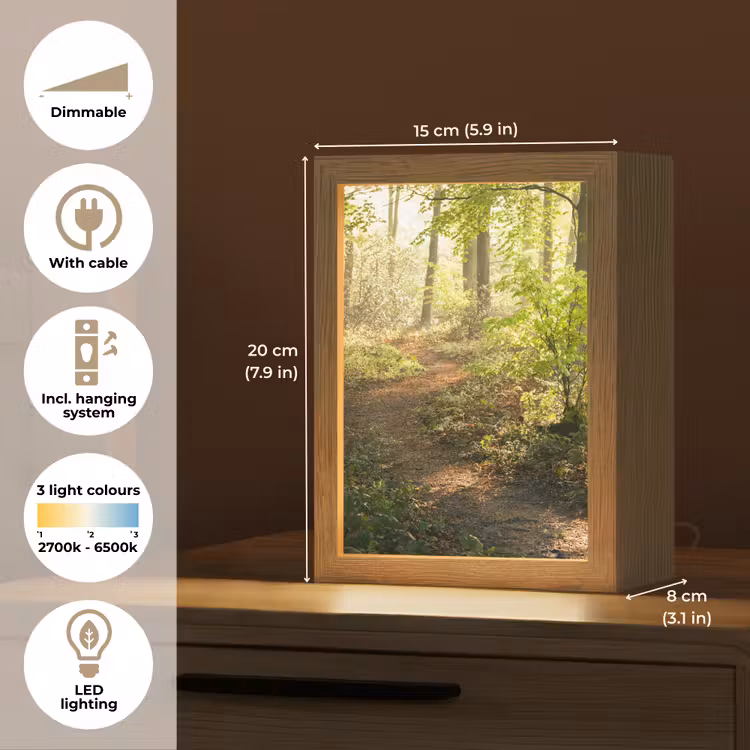 Bos - Bomen - Pad - Zon - Planten - Bladeren - Natuur Light Box met kabel (Tafellamp) klein -USP_EN