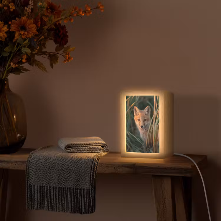 Vos - Oranje - Gras Light Box met kabel (Tafellamp) klein -sfeer4