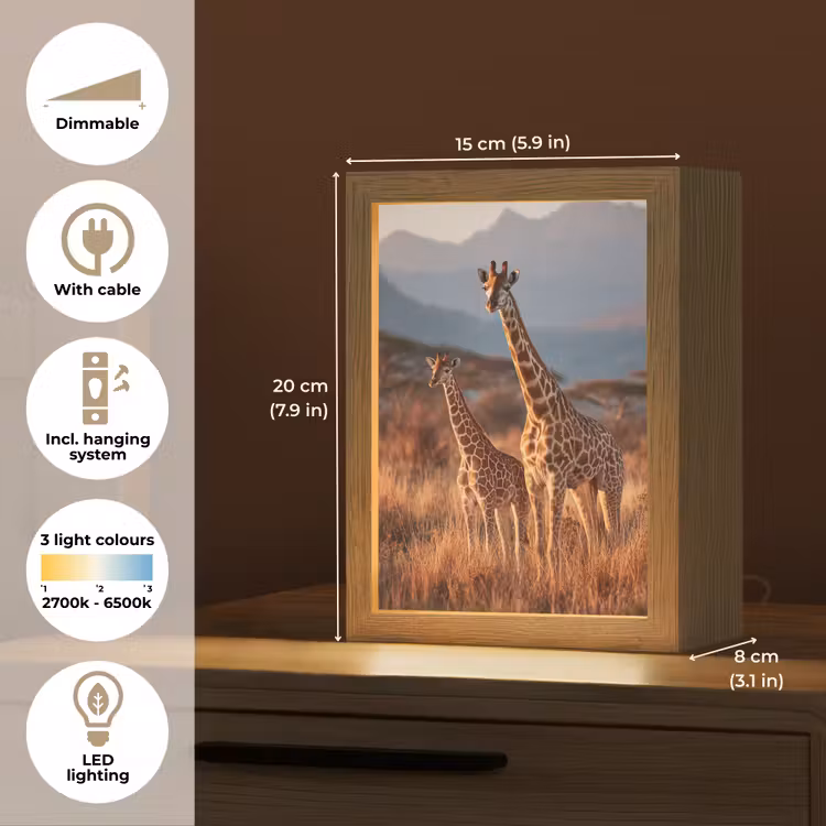 Giraffen - Hoog gras - Acaciabomen Light Box met kabel (Tafellamp) klein -USP_EN