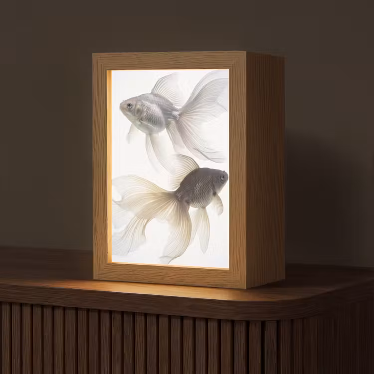 Goudvissen - Modern - Wit Light Box met kabel (Tafellamp) klein -z3d_website