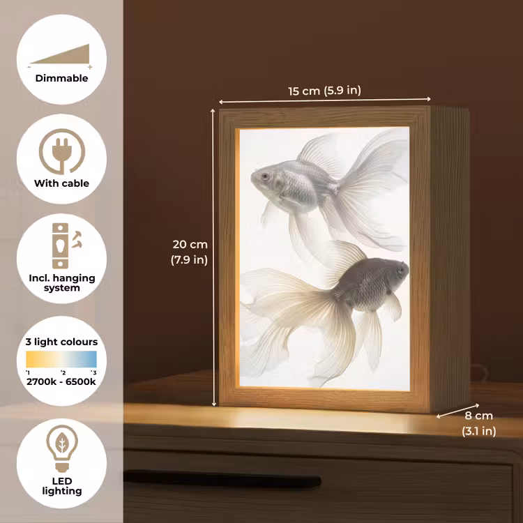 Goudvissen - Modern - Wit Light Box met kabel (Tafellamp) klein -USP_EN