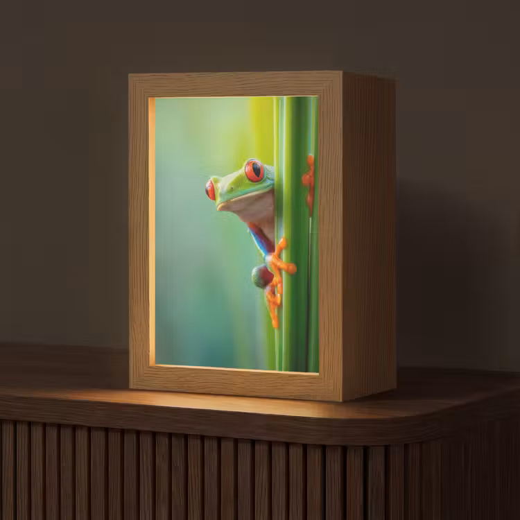 Groene kikker - Nieuwsgierig - Gras Light Box met kabel (Tafellamp) klein -z3d_website