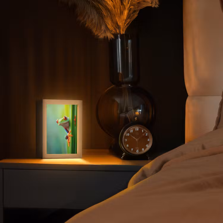 Groene kikker - Nieuwsgierig - Gras Light Box met kabel (Tafellamp) klein -sfeer1