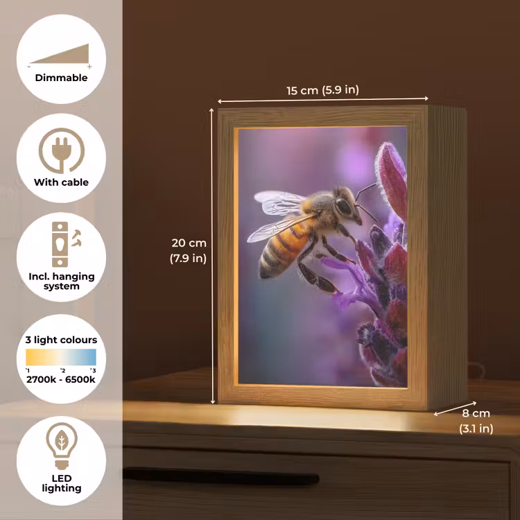 Honingbij - Paarse bloemen - Details Light Box met kabel (Tafellamp) klein -USP_EN