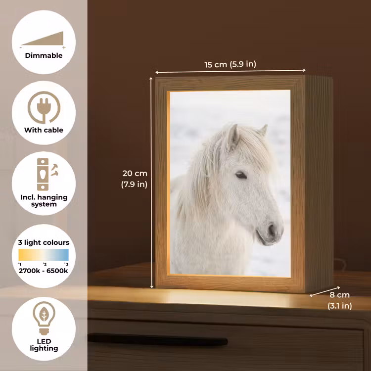 Paard - Kop - Winter - Dieren - Wit Light Box met kabel (Tafellamp) klein -USP_EN