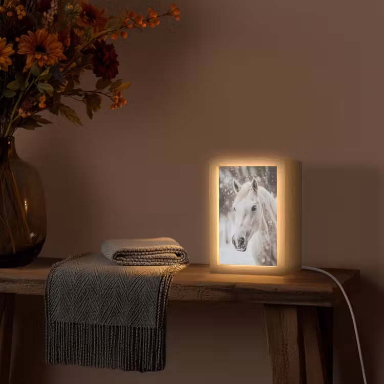 Paard - Wit - Winter - Natuur - Sneeuw - Dieren Light Box met kabel (Tafellamp) klein -sfeer4