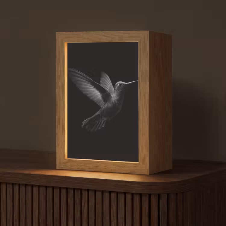 Kolibrie - Zwart - Dieren Light Box met kabel (Tafellamp) klein -z3d_website