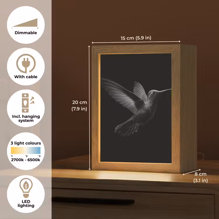 Kolibrie - Zwart - Dieren Light Box met kabel (Tafellamp) klein -USP_EN