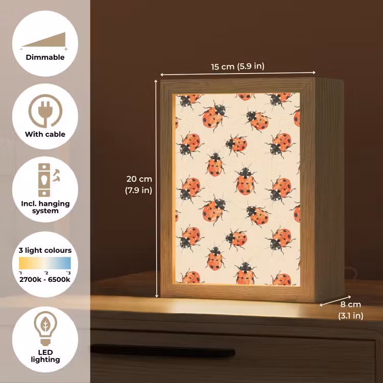 Lieveheersbeestjes - Patroon - Rood Light Box met kabel (Tafellamp) klein 925 -USP_EN
