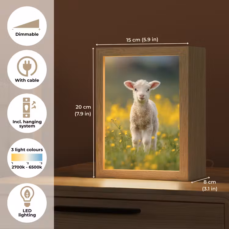 Lammetje - Gras - Bloemen - Geel Light Box met kabel (Tafellamp) klein -USP_EN