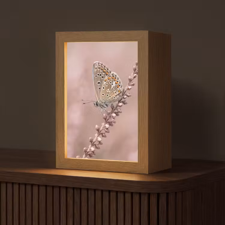 Lavendel - Vlinder - Paars Light Box met kabel (Tafellamp) klein -z3d_website