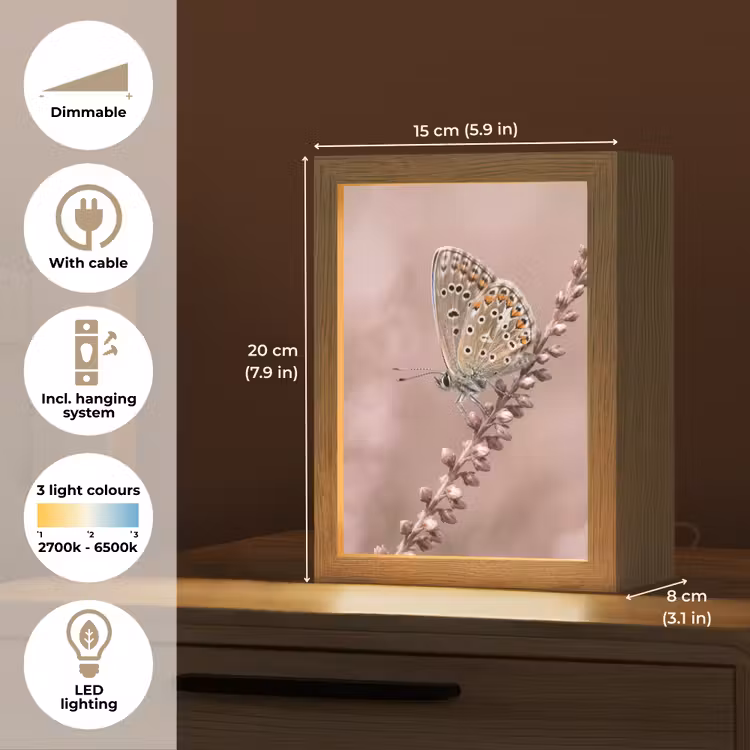 Lavendel - Vlinder - Paars Light Box met kabel (Tafellamp) klein -USP_EN