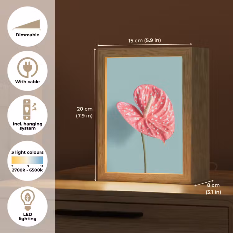 Blad - Anthurium - Stippen - Roze Light Box met kabel (Tafellamp) klein -USP_EN