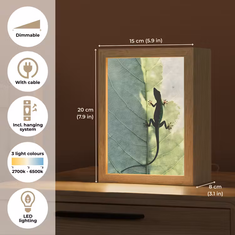 Hagedis - Blad - Nerven - Groen Light Box met kabel (Tafellamp) klein -USP_EN