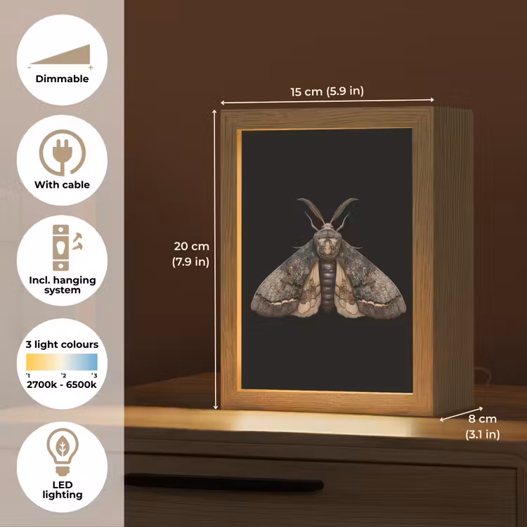 Mot - Bladachtig - Grijs Light Box met kabel (Tafellamp) klein -USP_EN