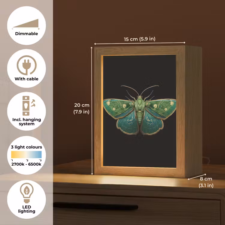 Mot - Levendig - Groen Light Box met kabel (Tafellamp) klein -USP_EN