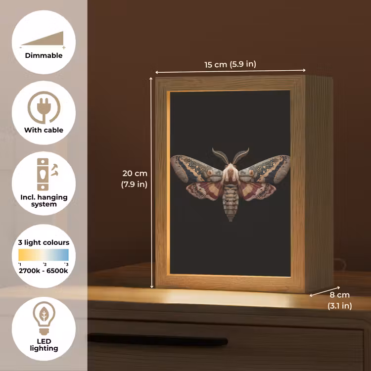 Mot - Oosterse patronen - Sierlijk Light Box met kabel (Tafellamp) klein -USP_EN