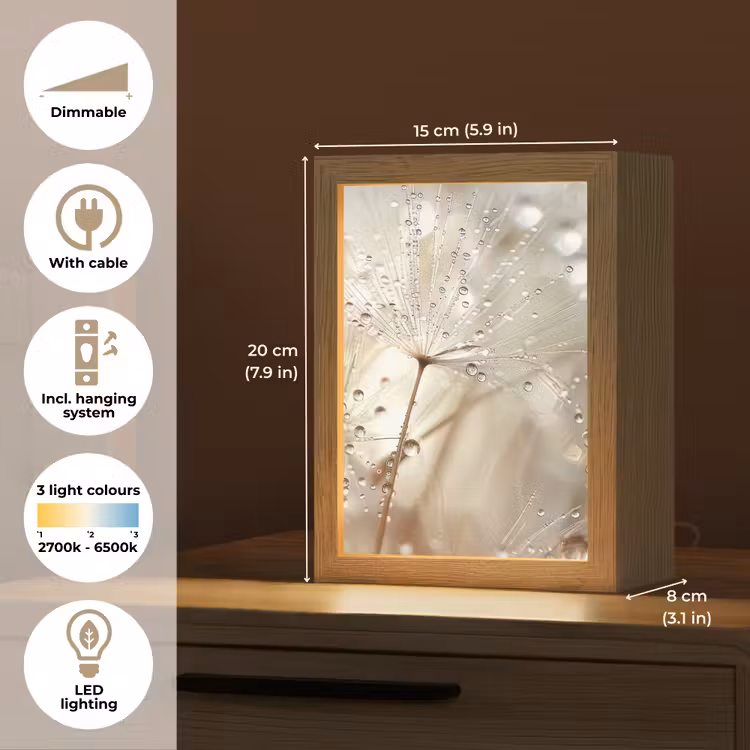 Natuur - Bloemen - Druppels - Regen Light Box met kabel (Tafellamp) klein -USP_EN