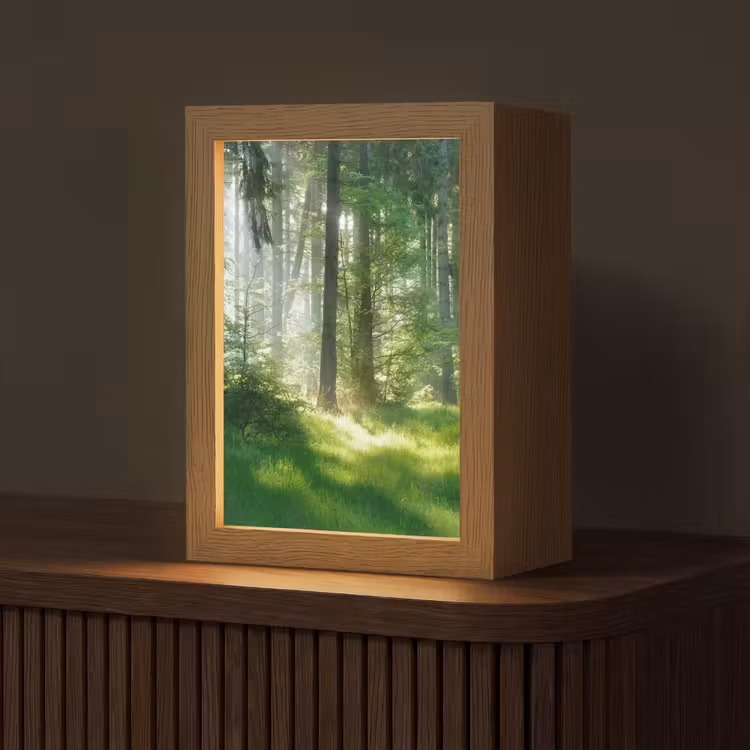Natuur - Bomen - Bos - Groen - Zon - Gras - Planten Light Box met kabel (Tafellamp) klein -z3d_website