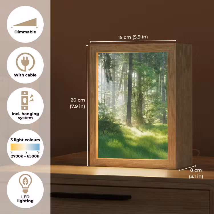 Natuur - Bomen - Bos - Groen - Zon - Gras - Planten Light Box met kabel (Tafellamp) klein -USP_EN