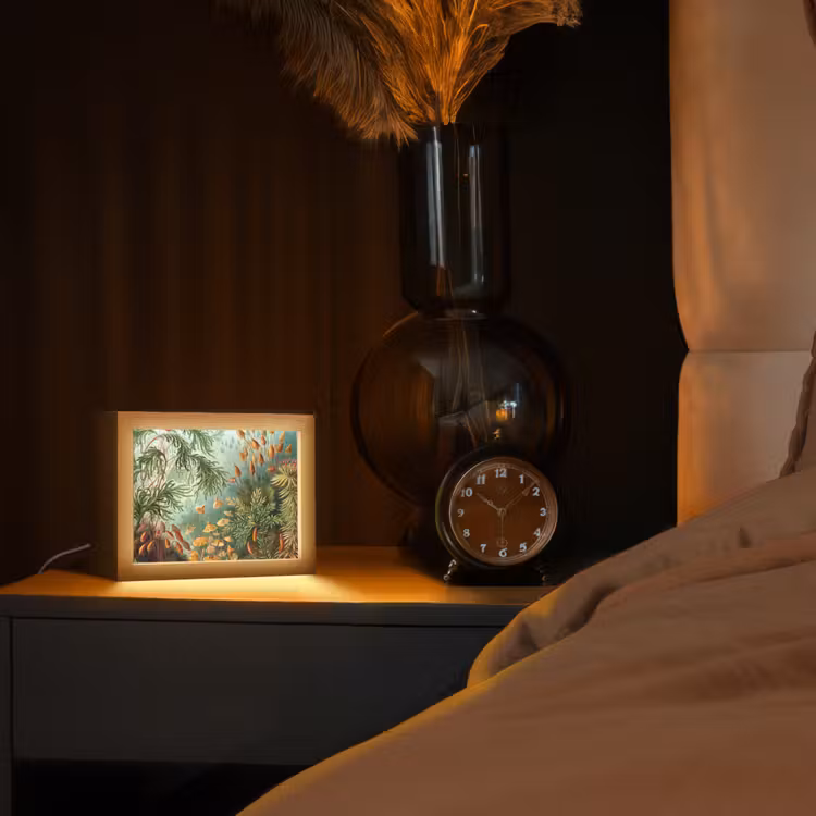 Oude meesters - Kunst - Muscinae - Haeckel Light Box met kabel (Tafellamp) klein -sfeer1