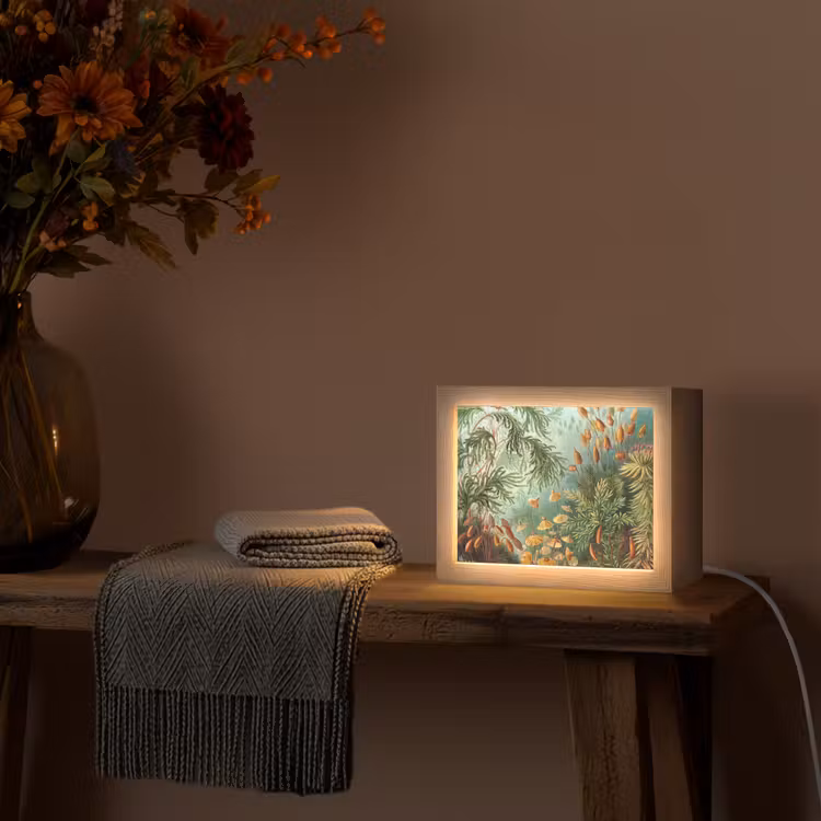 Oude meesters - Kunst - Muscinae - Haeckel Light Box met kabel (Tafellamp) klein -sfeer4