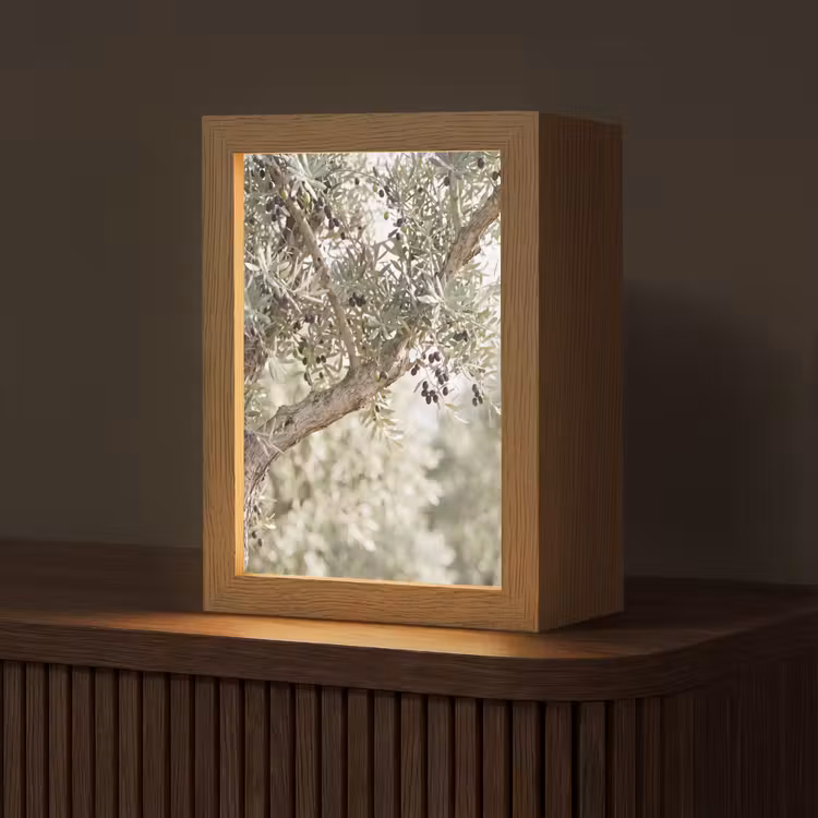 Table Lamp - Olive tree - branch - green - Olijfboom - tak - groen Light Box met kabel (Tafellamp) klein