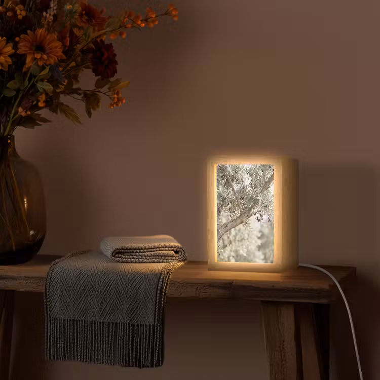 Table Lamp - Olive tree - branch - green - Olijfboom - tak - groen Light Box met kabel (Tafellamp) klein