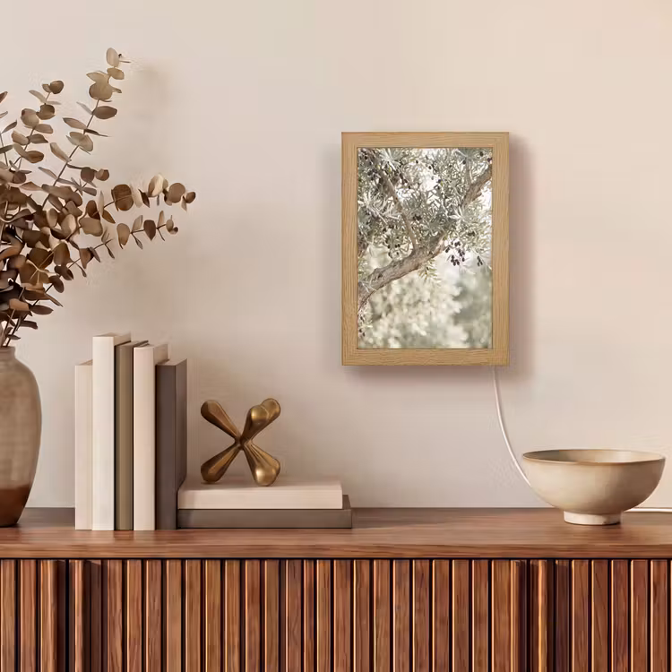 Table Lamp - Olive tree - branch - green - Olijfboom - tak - groen Light Box met kabel (Tafellamp) klein