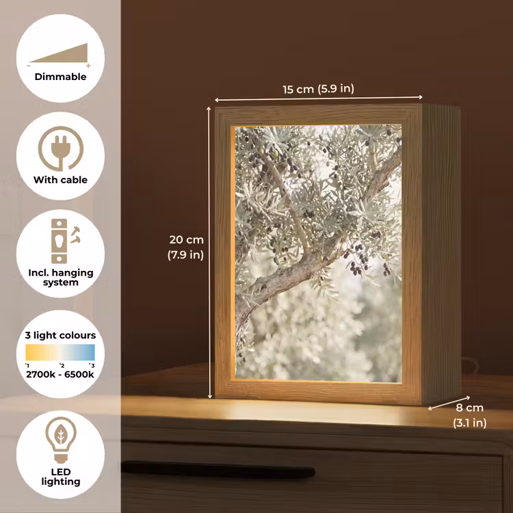 Table Lamp - Olive tree - branch - green - Olijfboom - tak - groen Light Box met kabel (Tafellamp) klein