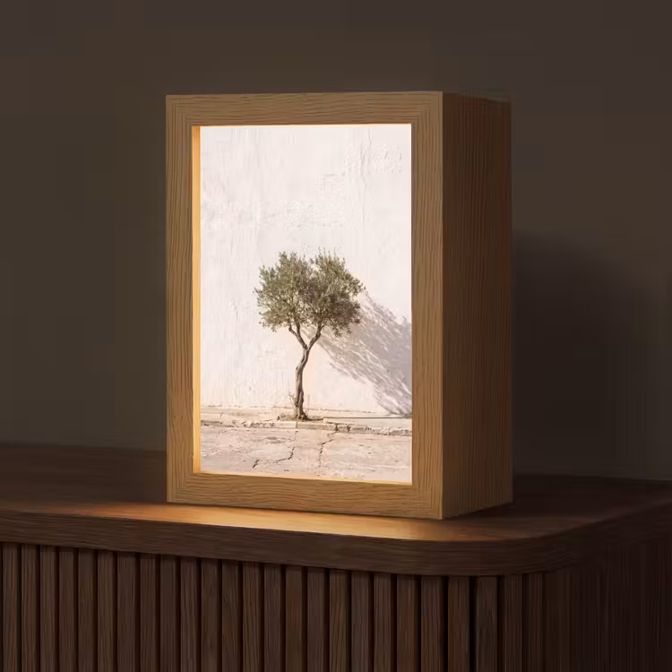Table Lamp - Olive Tree - Wall - White - Olijfboom - muur - wit Light Box met kabel (Tafellamp) klein