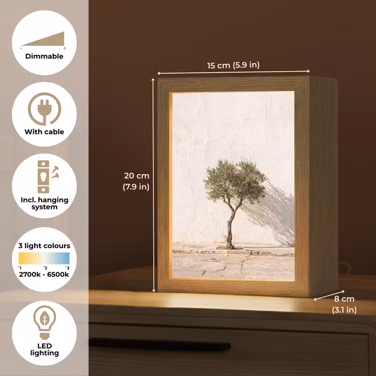 Table Lamp - Olive Tree - Wall - White - Olijfboom - muur - wit Light Box met kabel (Tafellamp) klein