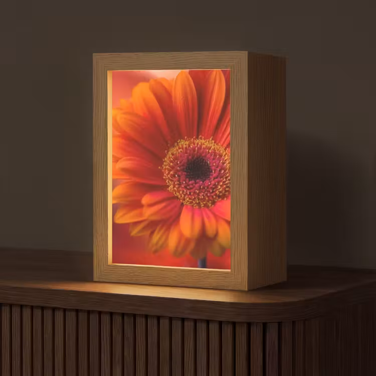 Oranje - Gerbera - Intens Light Box met kabel (Tafellamp) klein -z3d_website