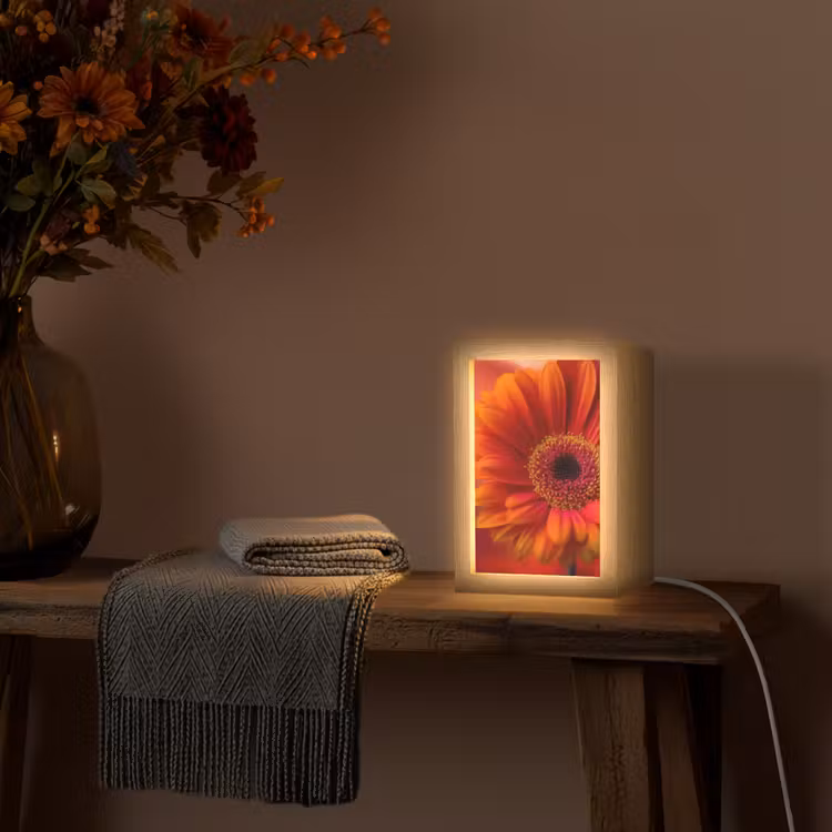 Oranje - Gerbera - Intens Light Box met kabel (Tafellamp) klein -sfeer4
