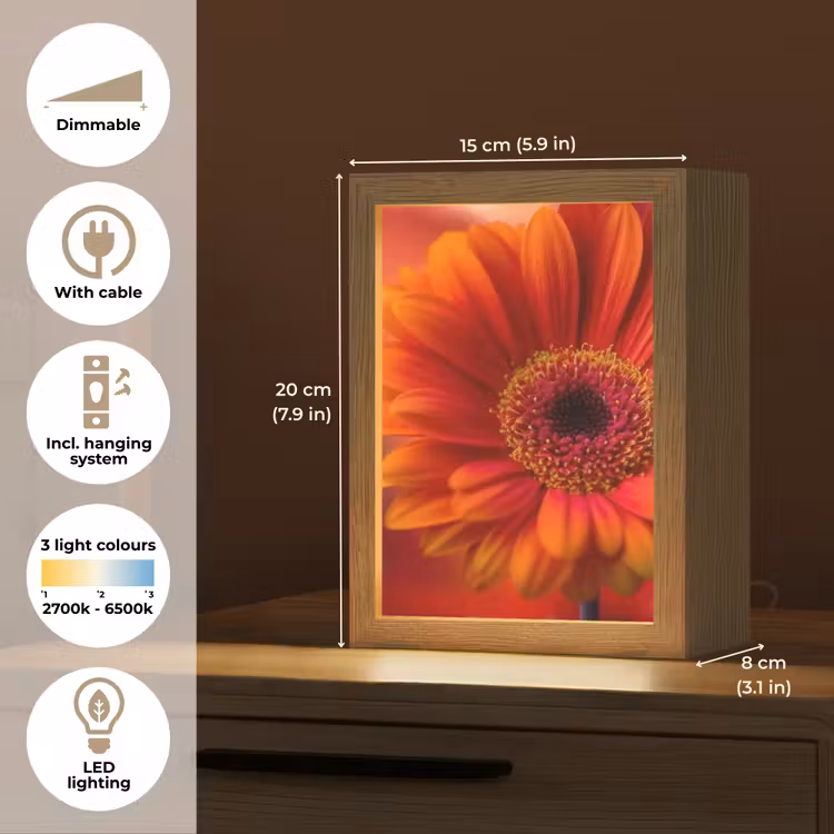 Oranje - Gerbera - Intens Light Box met kabel (Tafellamp) klein -USP_EN
