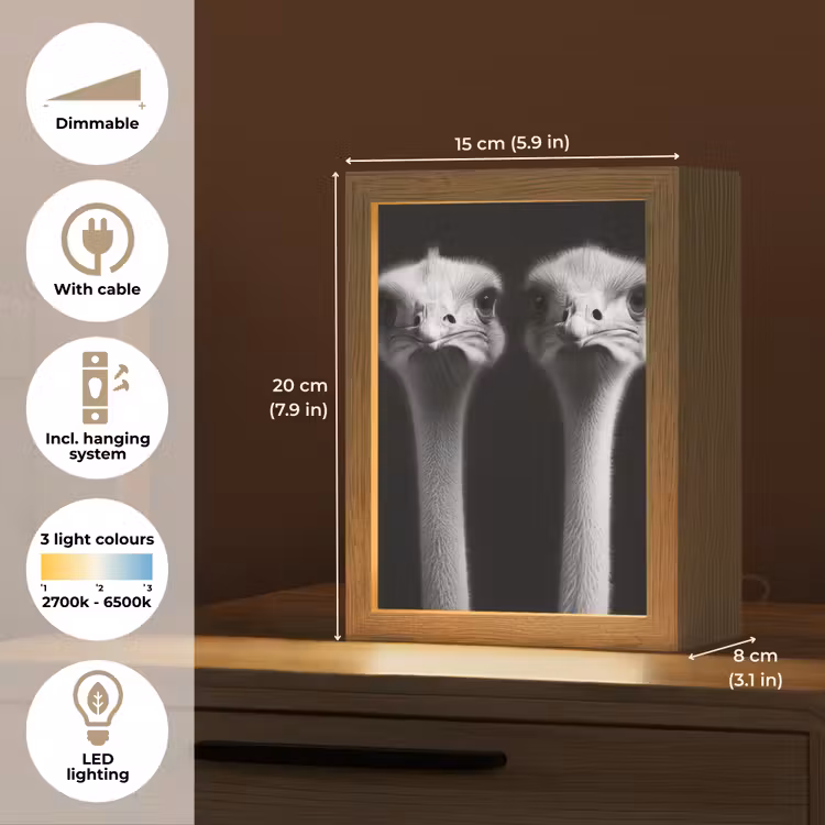 Struisvogels - Halzen - Zwart - Minimalistisch Light Box met kabel (Tafellamp) klein -USP_EN