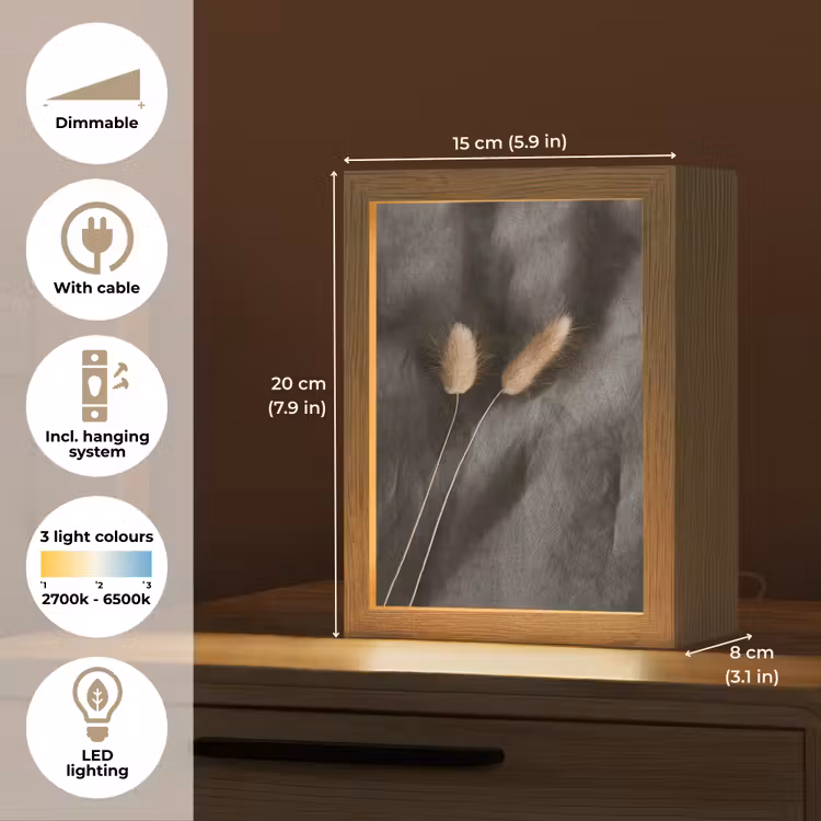 Pampasgras - Pluim - Zwart - Beige Light Box met kabel (Tafellamp) klein -USP_EN