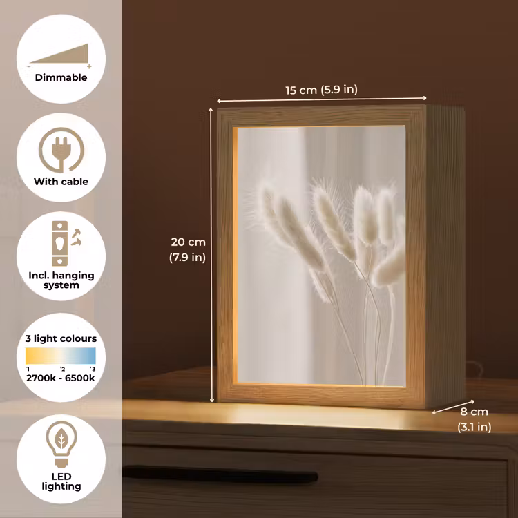 Pampasgras - Pluim - Wit Light Box met kabel (Tafellamp) klein -USP_EN