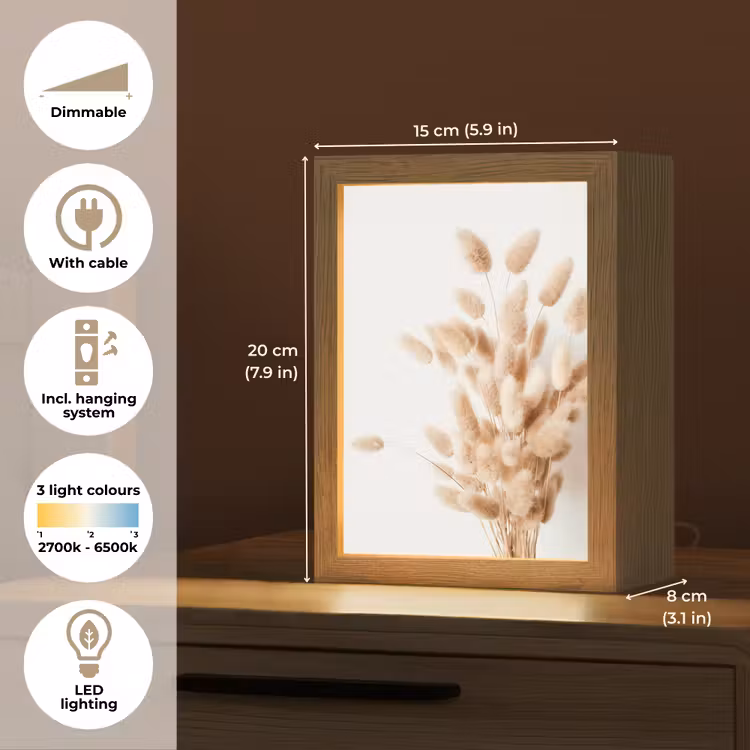 Pampasgras - Pluim - Wit - Beige Light Box met kabel (Tafellamp) klein -USP_EN