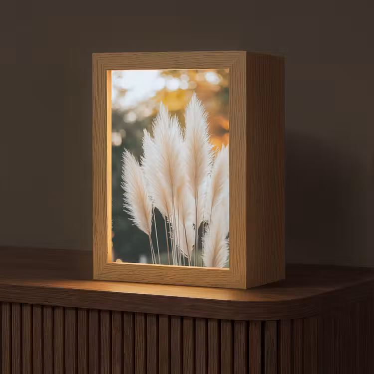 Pampasgras - Pluimen - Sierlijk Light Box met kabel (Tafellamp) klein -z3d_website