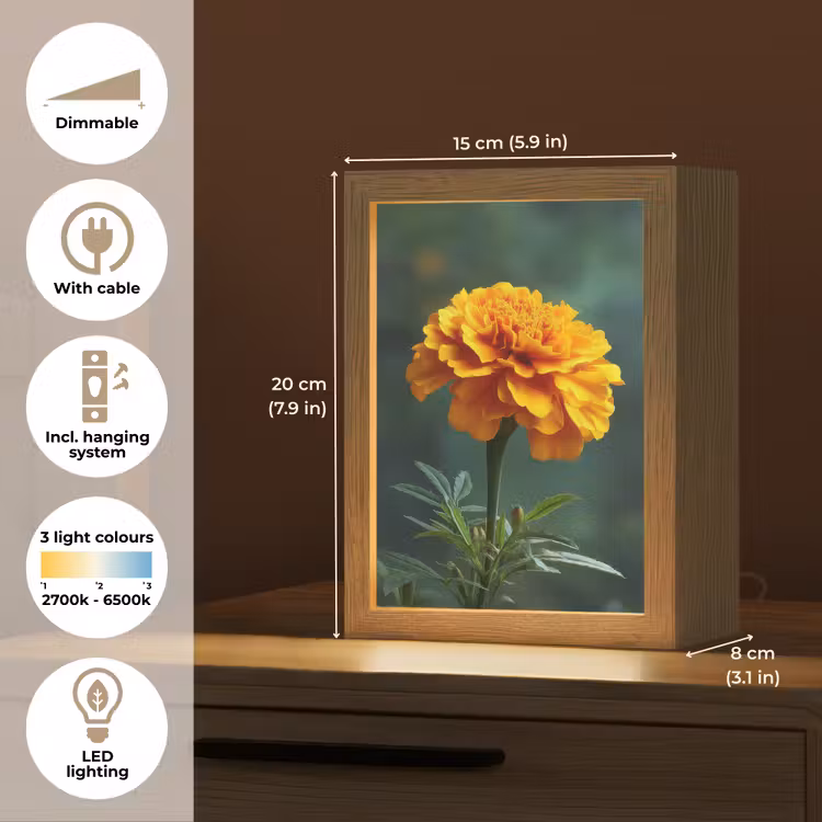 Bloemblaadjes - Afrikaan - Oranje - Wazig Light Box met kabel (Tafellamp) klein -USP_EN