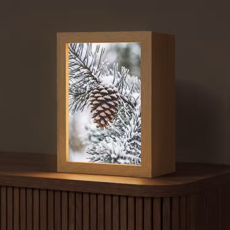 Dennenappel - Tak - Sneeuw - Winter - Sfeervol Light Box met kabel (Tafellamp) klein -z3d_website