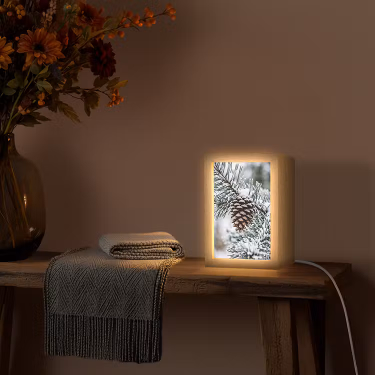 Dennenappel - Tak - Sneeuw - Winter - Sfeervol Light Box met kabel (Tafellamp) klein -sfeer4