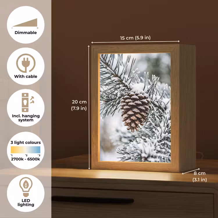 Dennenappel - Tak - Sneeuw - Winter - Sfeervol Light Box met kabel (Tafellamp) klein -USP_EN