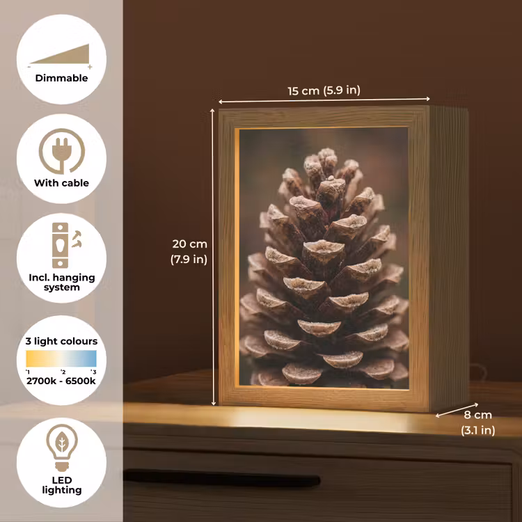 Dennenappel - Bos - Herfst - Bruin - Sfeervol Light Box met kabel (Tafellamp) klein -USP_EN