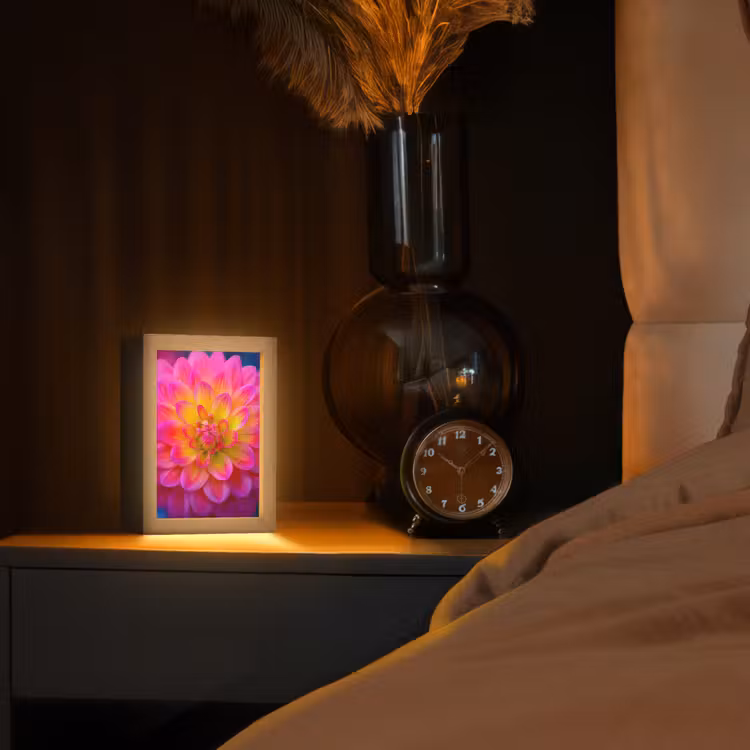 Roze - Dahlia - Kleurrijk Light Box met kabel (Tafellamp) klein -sfeer1