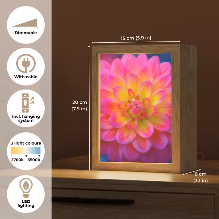 Roze - Dahlia - Kleurrijk Light Box met kabel (Tafellamp) klein -USP_EN