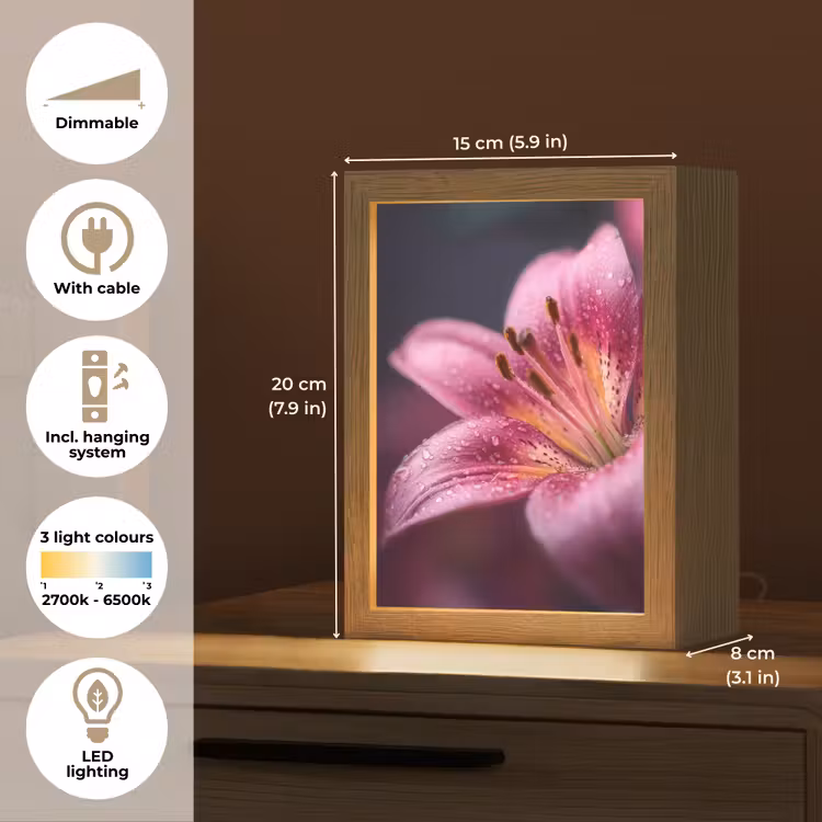 Roze - lelie - Dauwdruppels Light Box met kabel (Tafellamp) klein -USP_EN