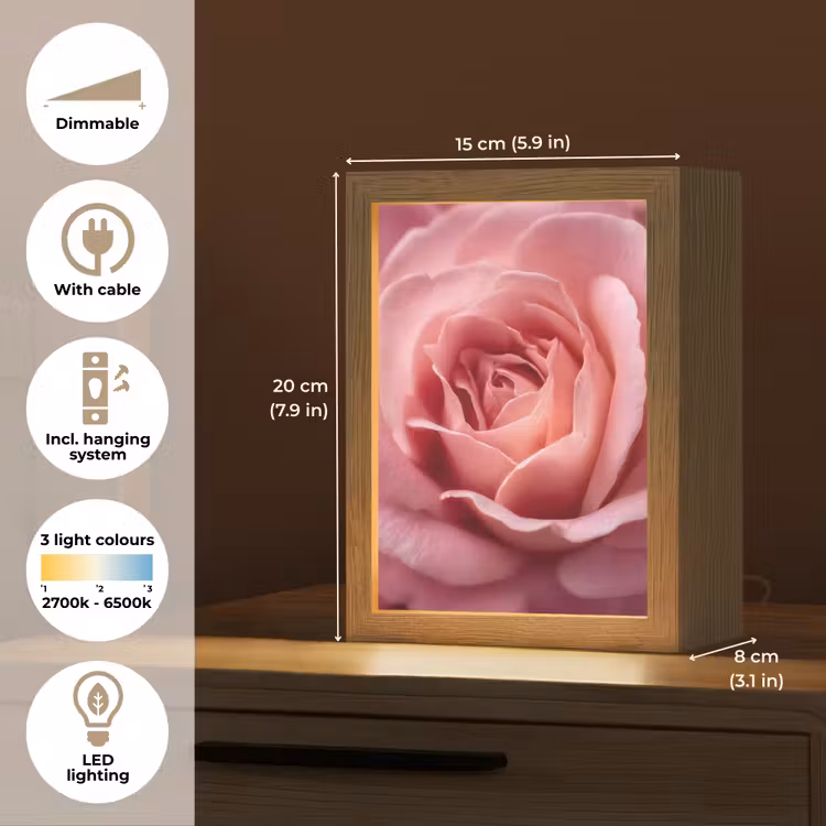 Roze - Roos - Romantisch Light Box met kabel (Tafellamp) klein -USP_EN